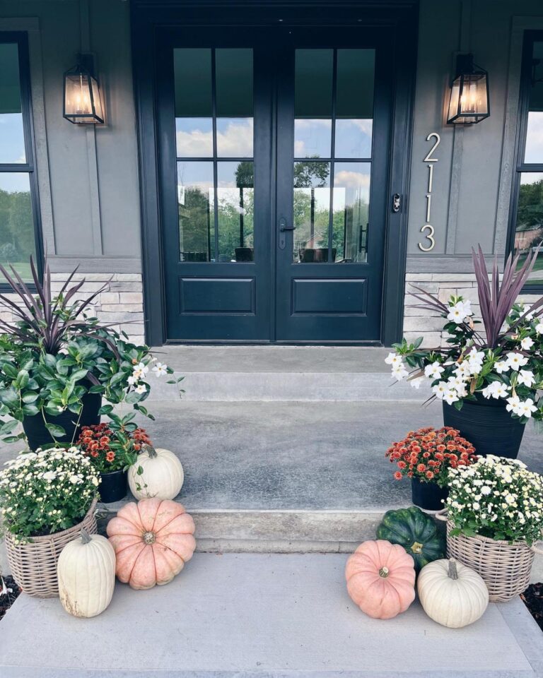 Elegant black double doors with glass panels, surrounded by potted plants and decorative pumpkins, showcasing a welcoming entryway.