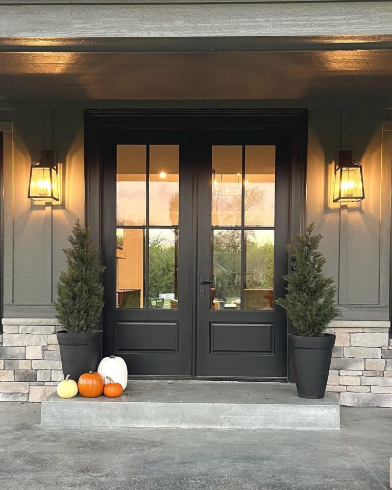 Elegant black entry doors with large glass panes, flanked by potted greenery and decorative pumpkins, showcasing a welcoming home entrance.