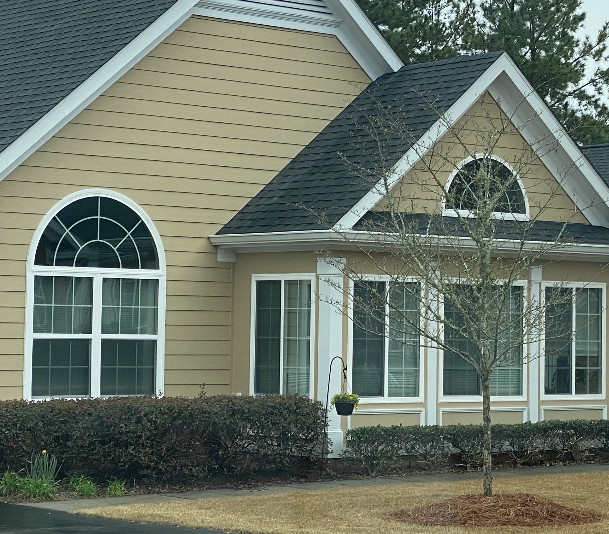 replacement windows